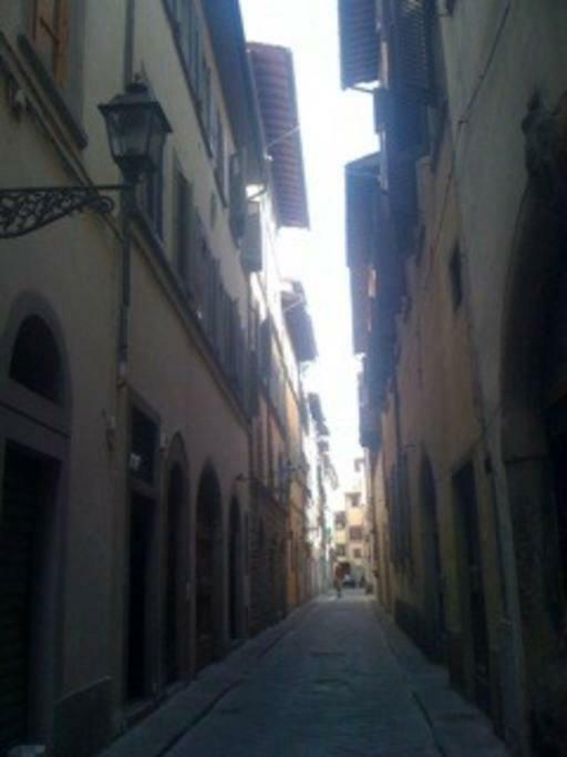 Rebby'S Terrace Apartment Florence Exterior photo